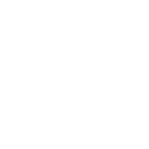VIS