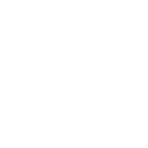 VLEES