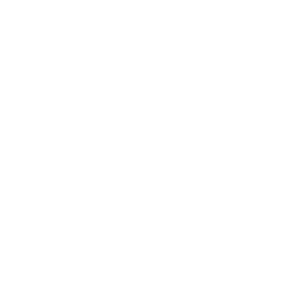 SOEPEN
