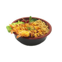 PLATS CHAUDS/ NOUILLES/RIZ