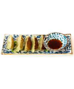 E5. Gyoza poulet