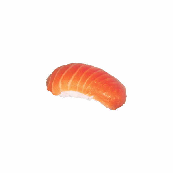 NIGIRI SUSHI