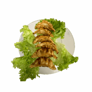 11. Gyoza Kip