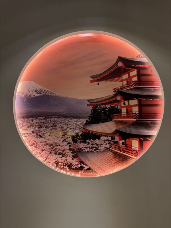 Ninja Ramen – nouilles japonaises fines