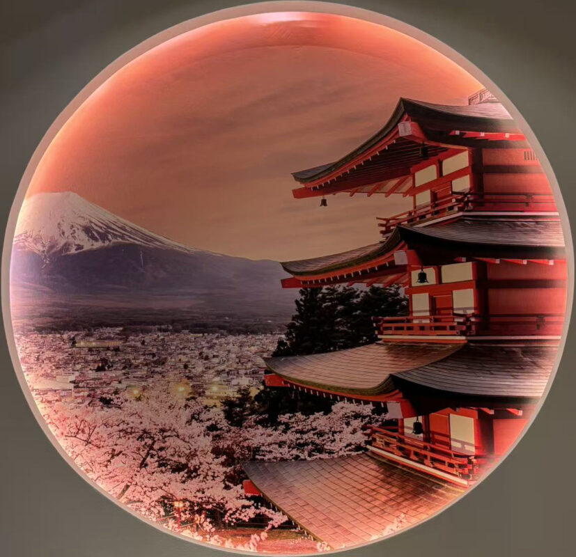 Ninja Ramen – nouilles japonaises fines