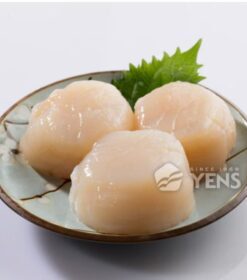 65. Coquille saint Jacques