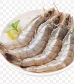 66. Gambas