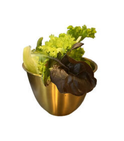 64. Salade