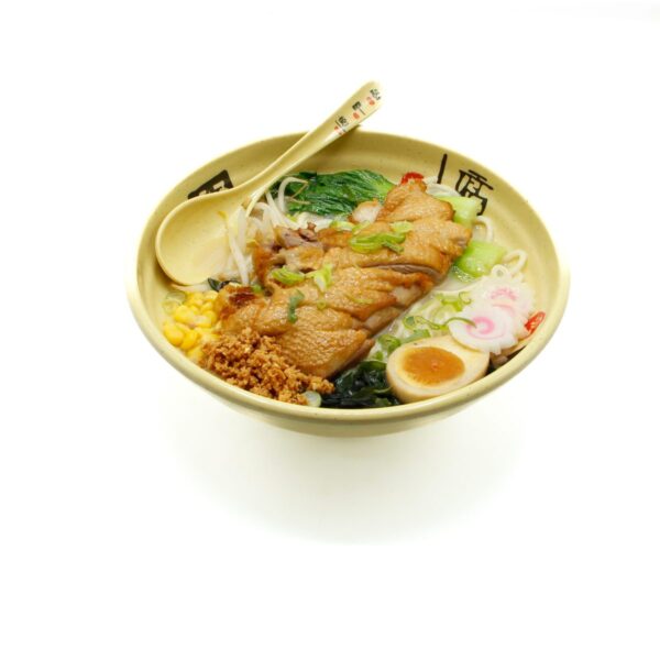 RA3. RAMEN CANARD LAQUÉ