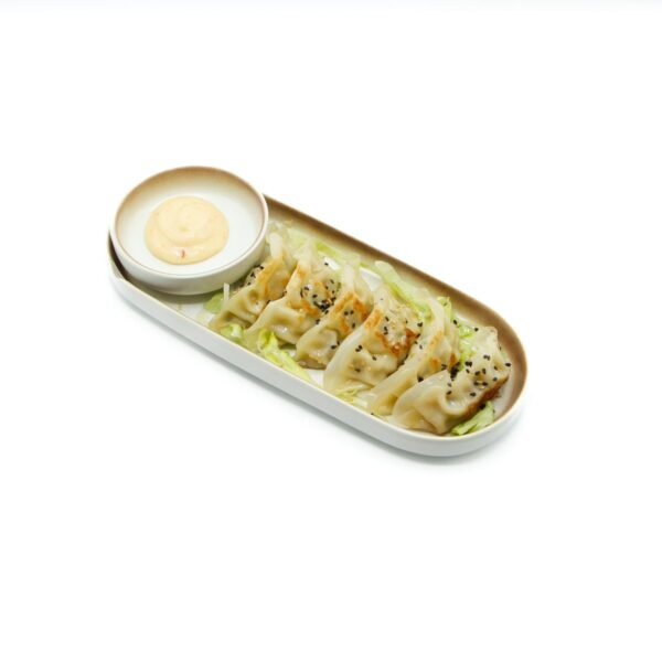 E11. Gyoza au poulet