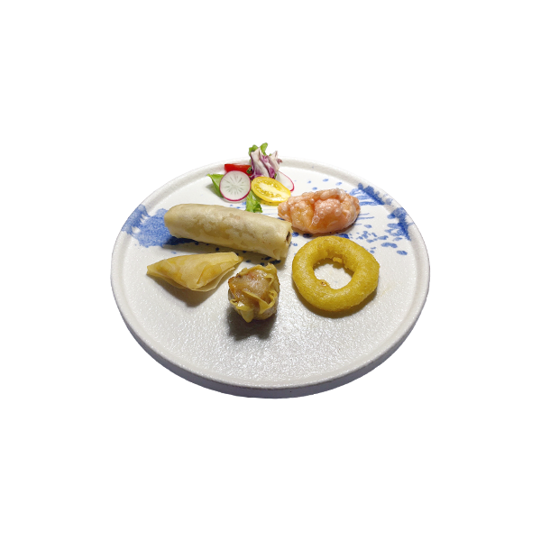 24C. Hors d'œuvre variés frit