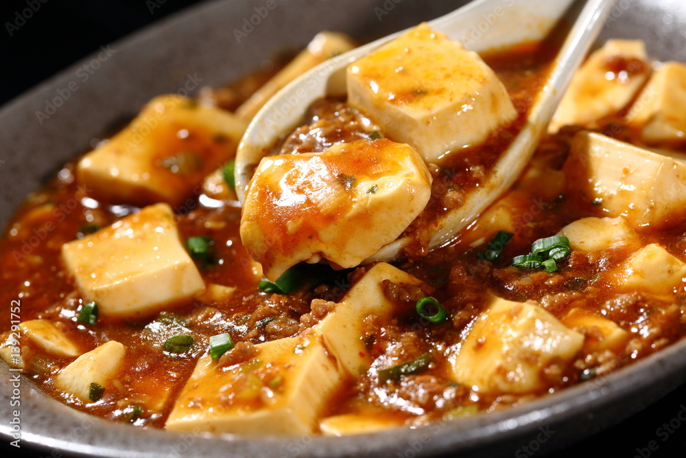 Mapo Dofu 麻婆豆腐